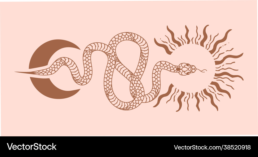 Poster set mystical magic objects- snake moon Poster set mystical magic objects- snake moon Vector Image