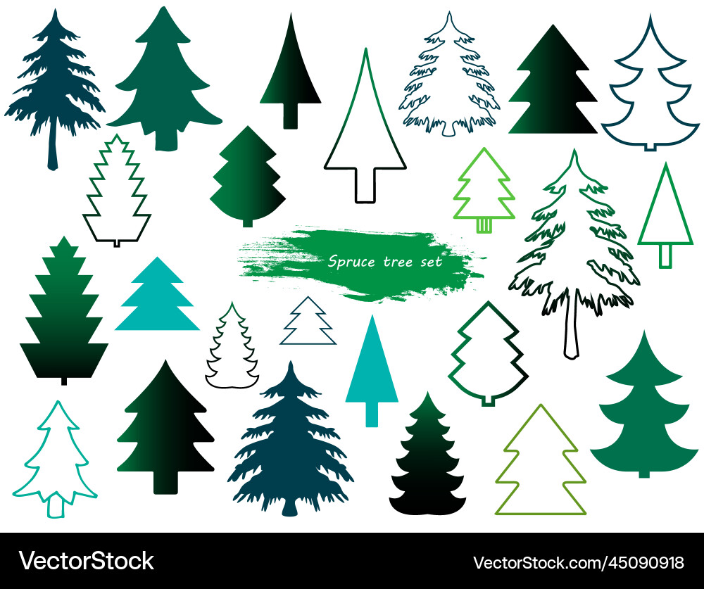 Set of different coniferous trees Set of different coniferous trees vector image