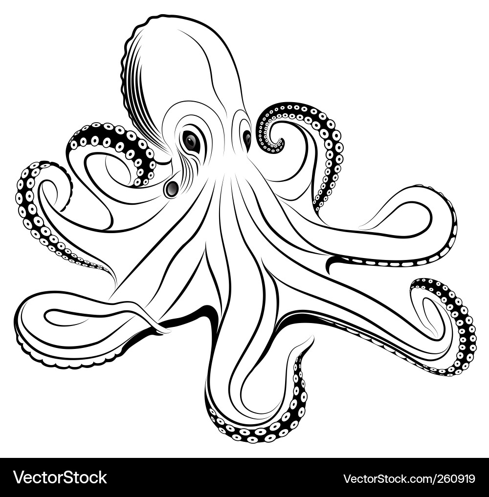 Elegant Octopus Tattoo vector image