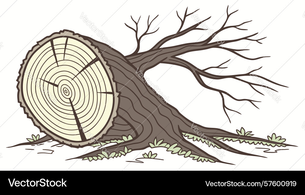 Logged tree trunk with roots exposed design Vector Image