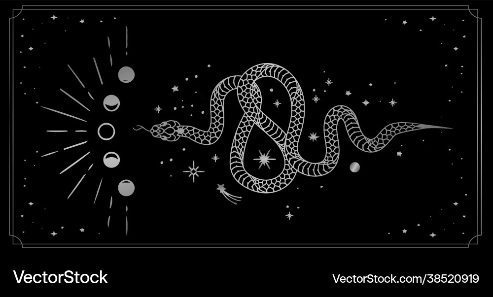 Occult trendy hand drawn with snake moon and stars Occult trendy hand drawn with snake moon and stars vector image