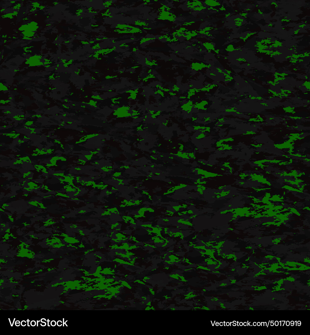 Seamless pattern realistic camouflage abstract Seamless pattern realistic camouflage abstract Vector Image