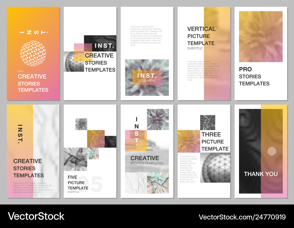 Social Media Story Templates Vector Image