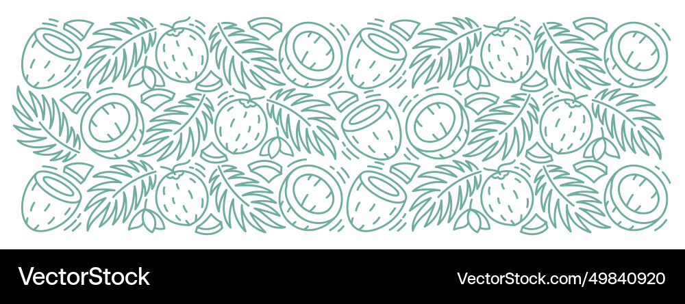 Coconut line rectangular background pattern palm vector image