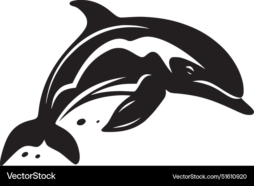 Delfin - schwarz und weiß Delfin - schwarz und weiß Vektorbild