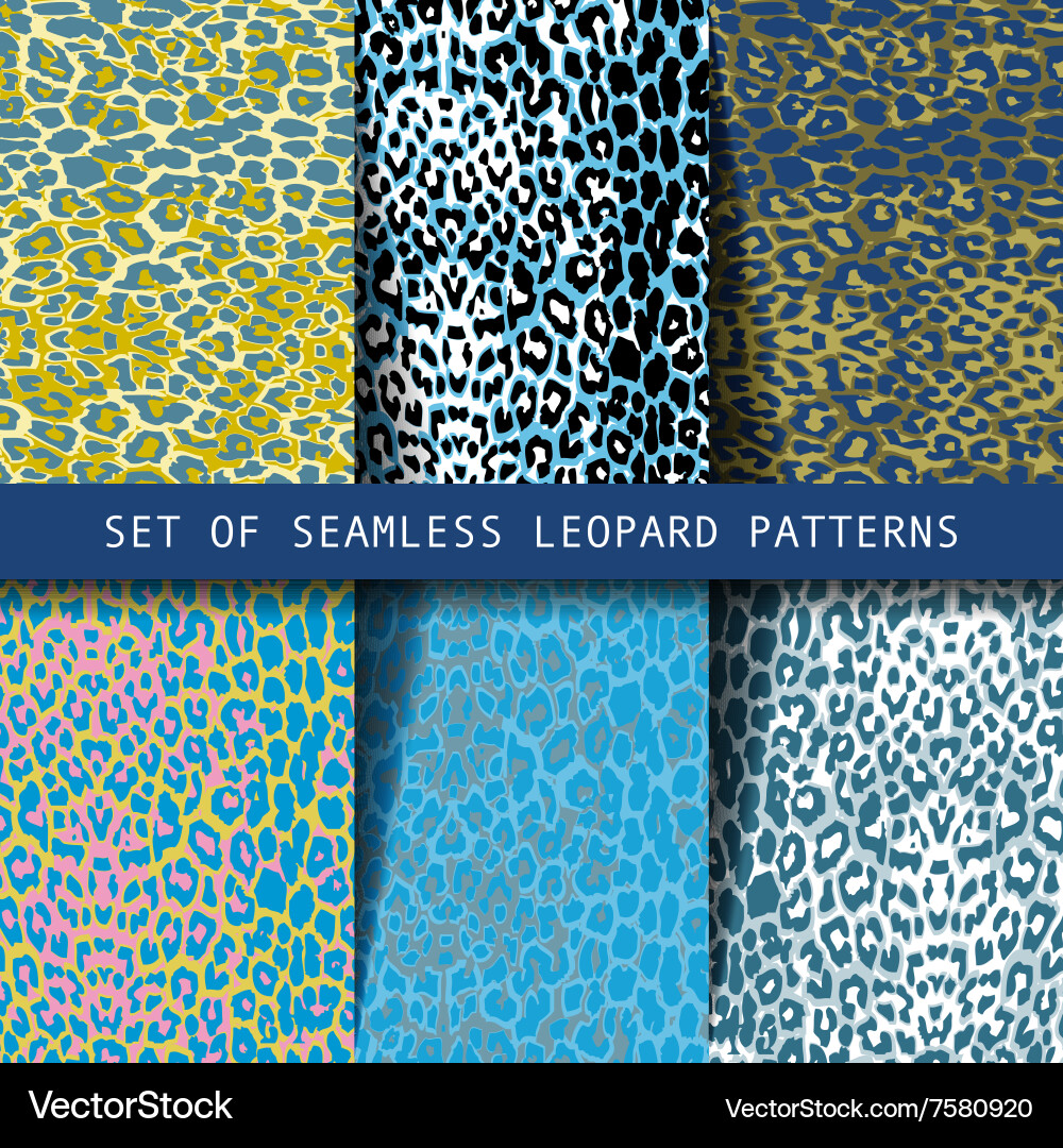 Set of leopard seamless patterns vector image