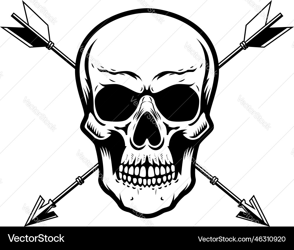 Skull with crossed arrows design element Skull with crossed arrows design element vector image