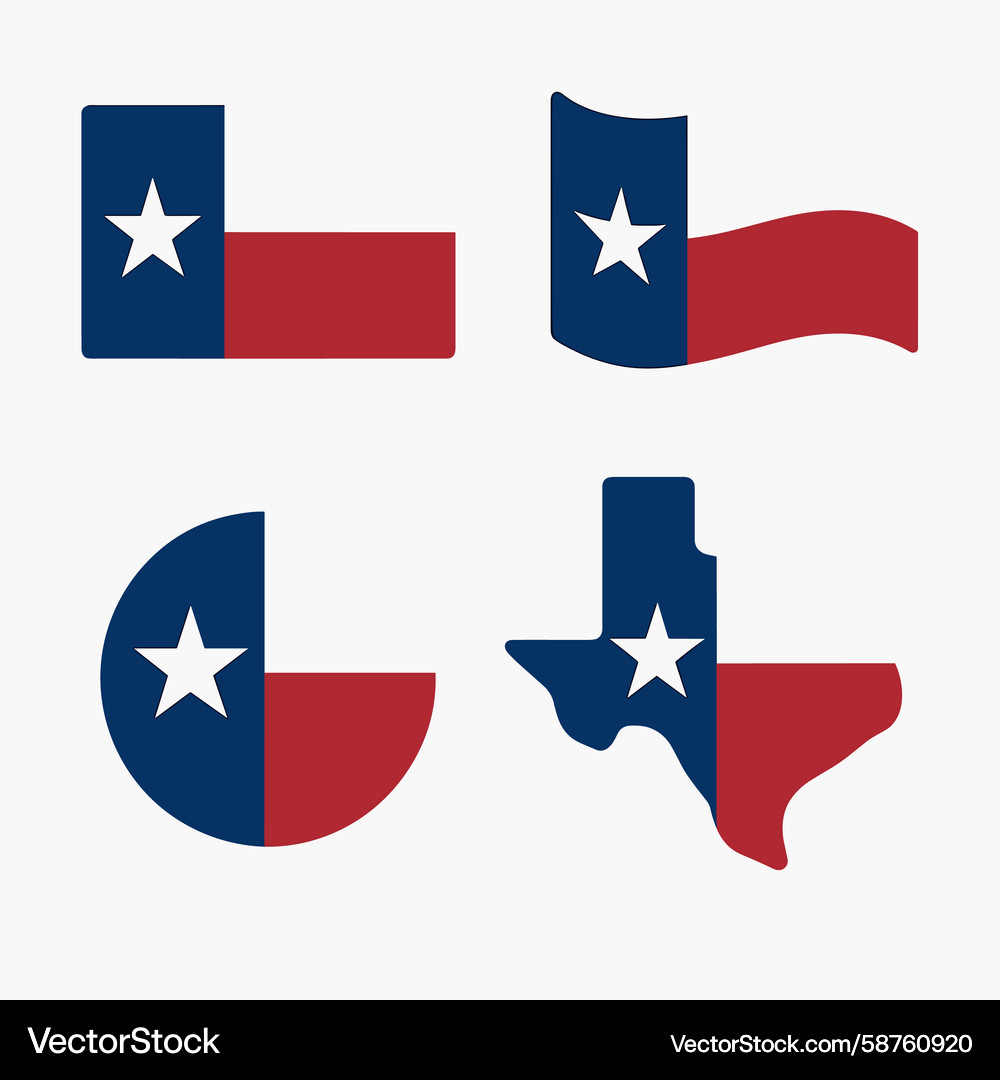 Texas Flag Minimalist Icons Vector Image