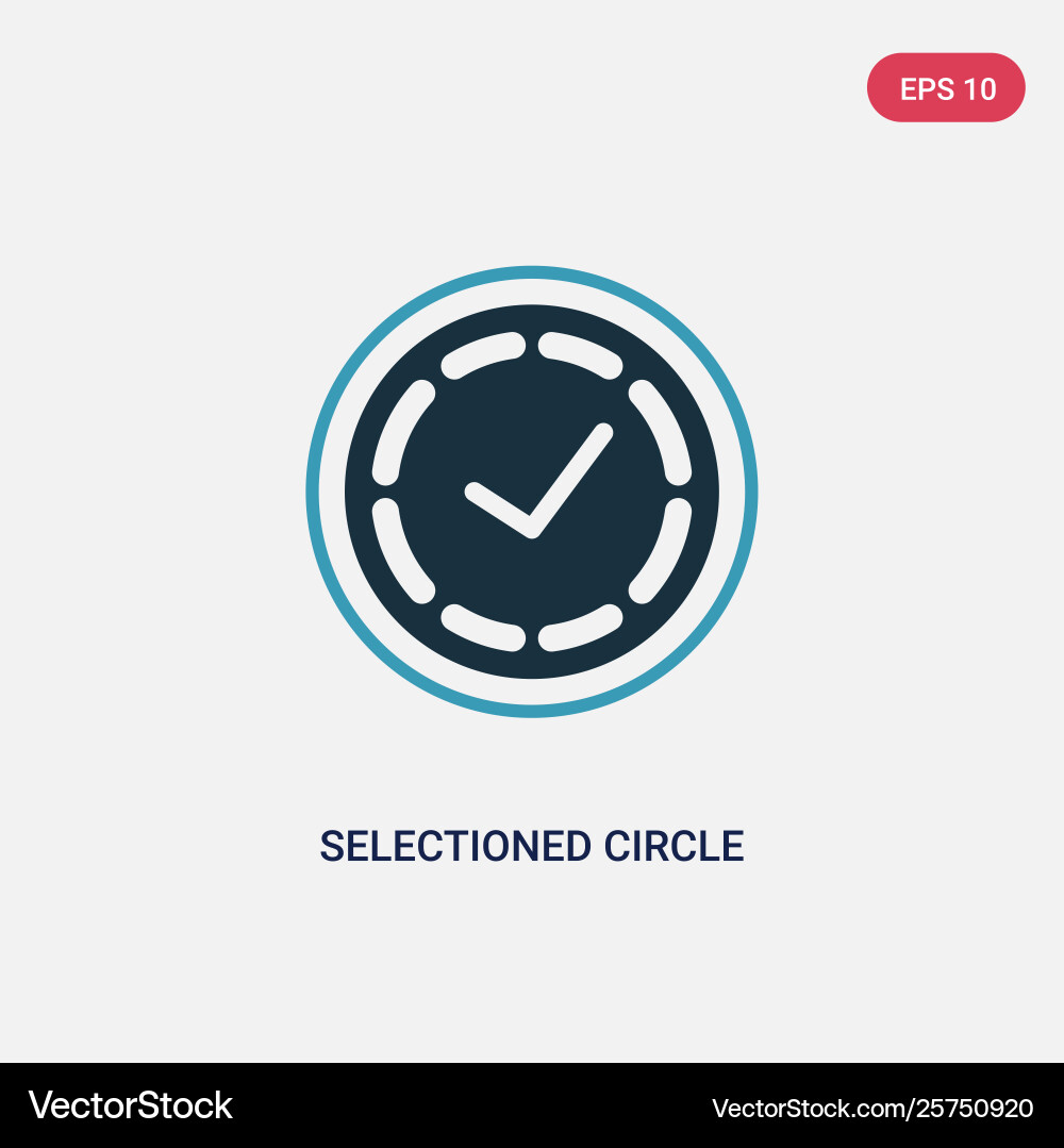 Two color selectioned circle icon from user Vector Image