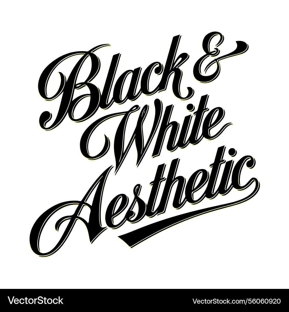 Typography elegant script font black and white vector image