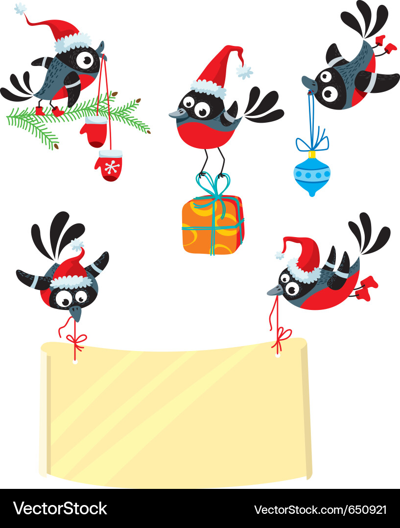 Christmas bullfinch Vector Image