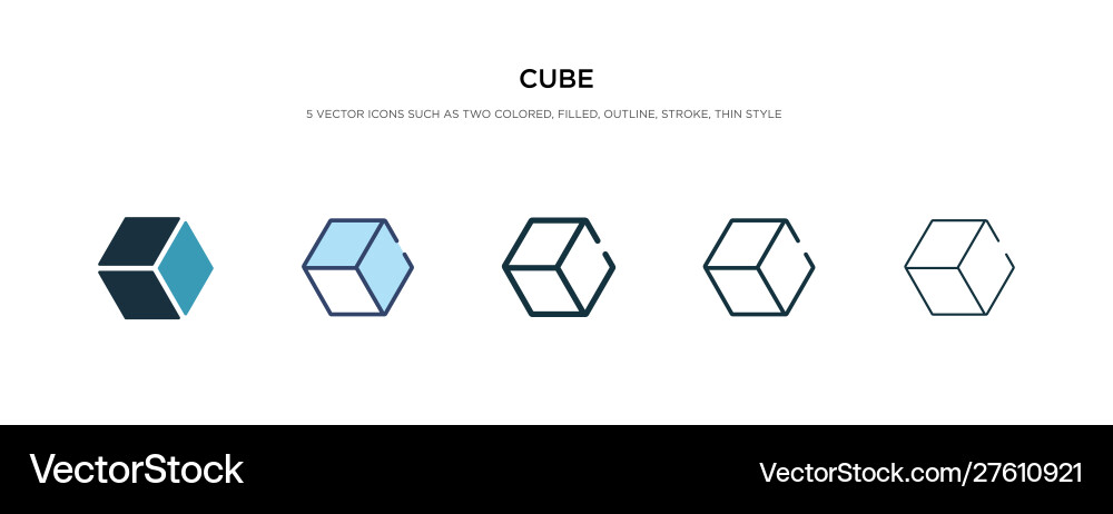 Cube icon in different style two colored Vector Image