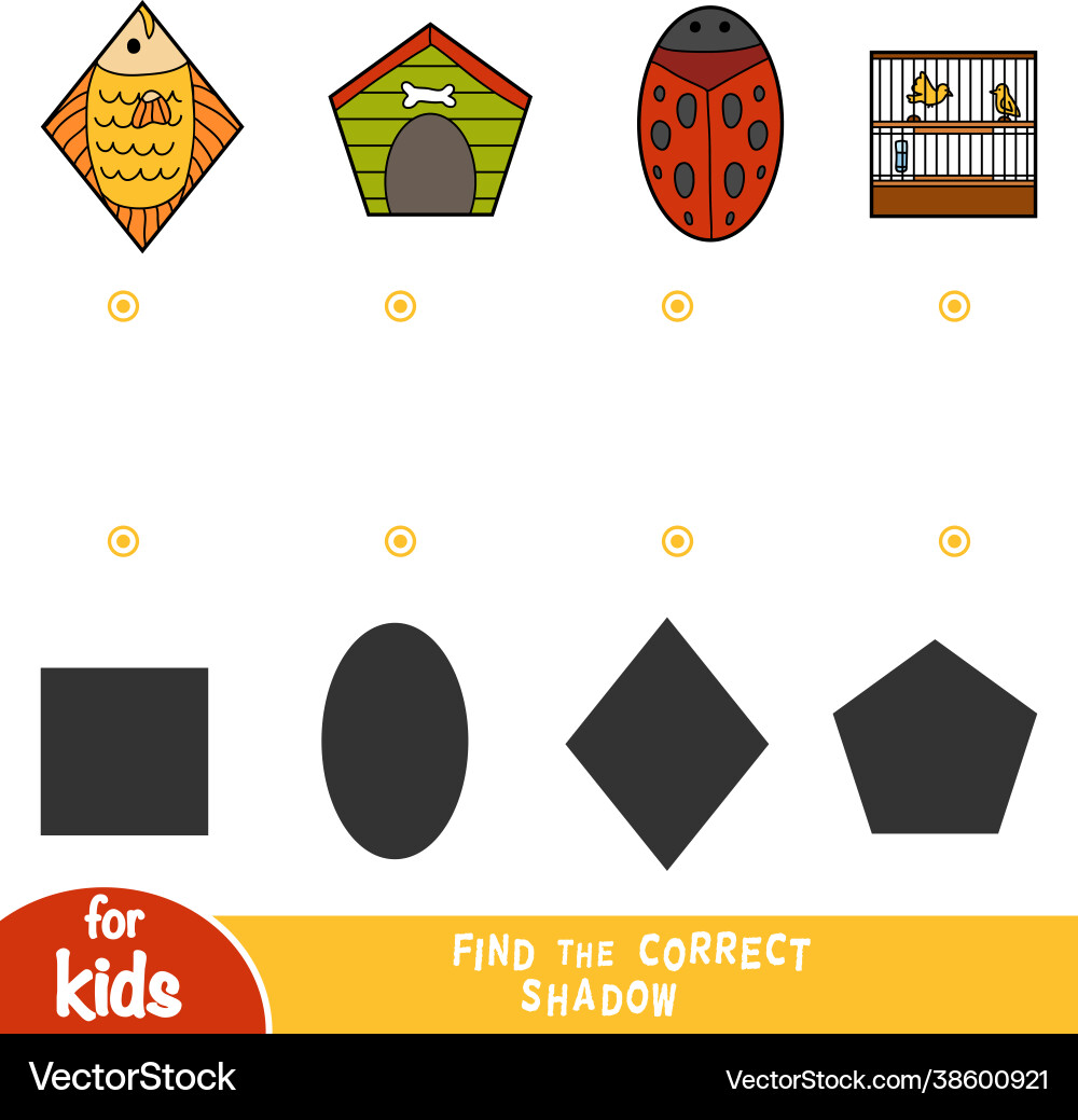 Find correct shadow education game set Royalty Free Vector