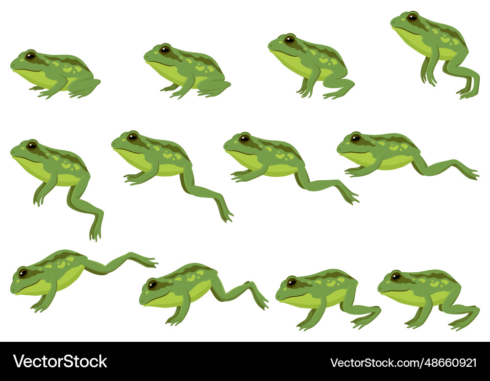 Frog jumping animation icon set sequences vector image