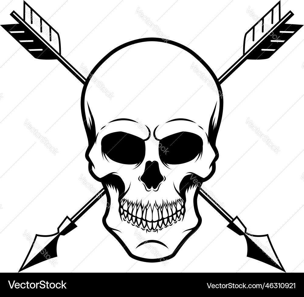 Skull with crossed arrows design element Skull with crossed arrows design element vector image