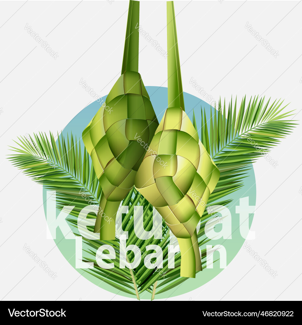 Ketupat Royalty Free Vector Image - VectorStock