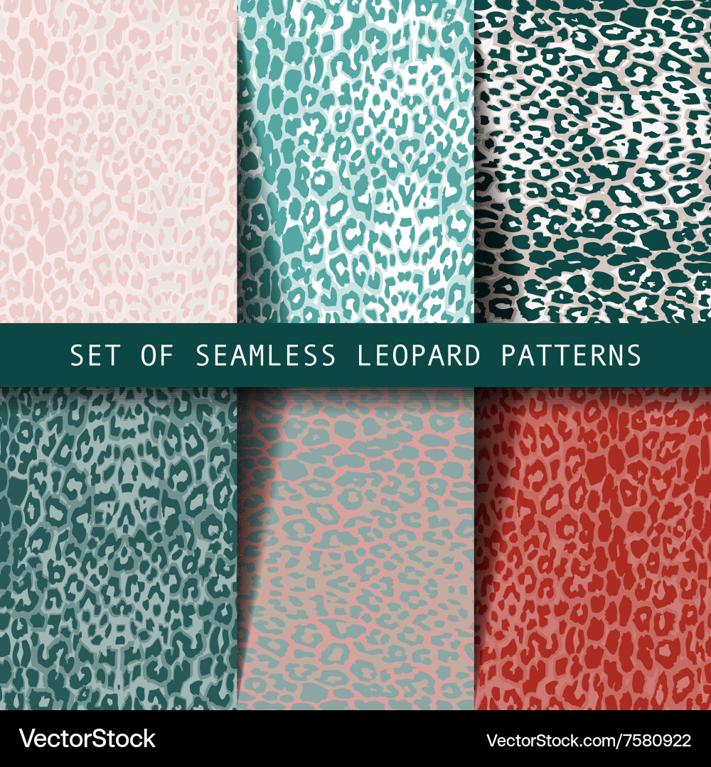 Leopard Seamless Pattern Collection Vector Image
