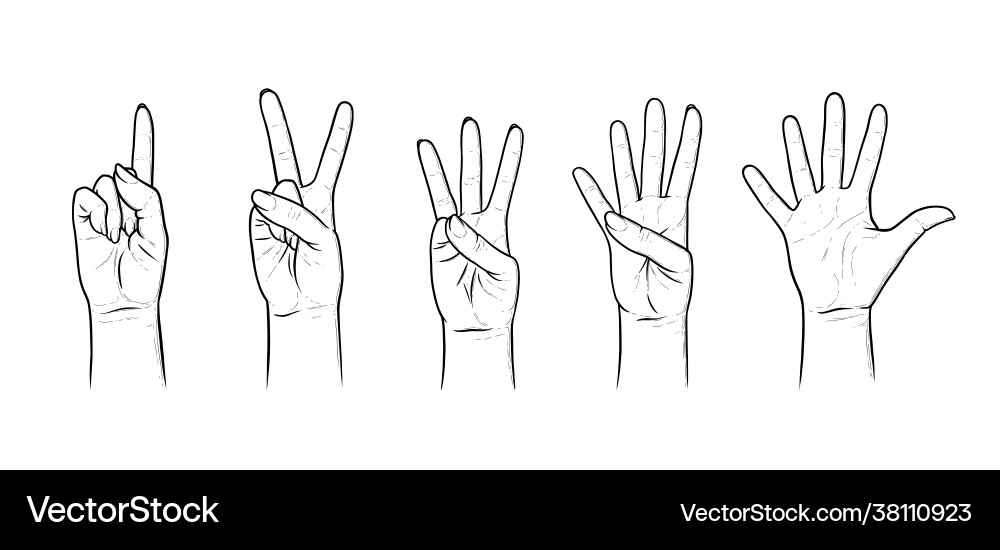 Gestures for counting from one to five set Gestures for counting from one to five set vector image