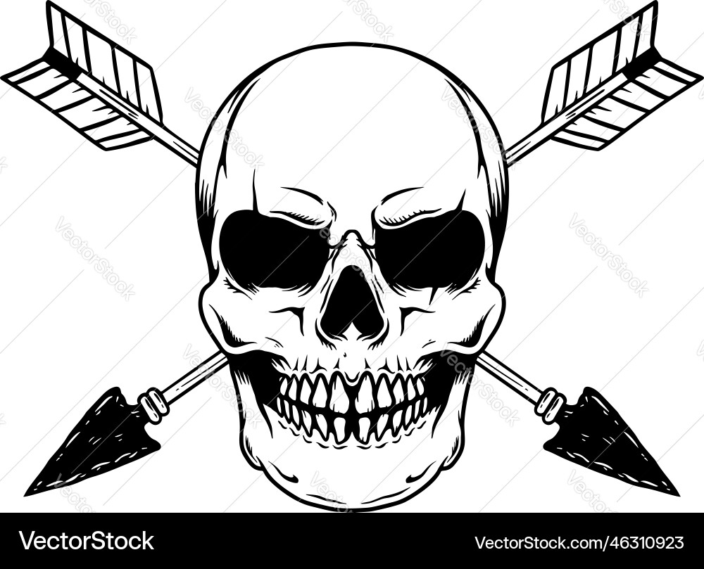 Skull with crossed arrows design element Skull with crossed arrows design element Vector Image