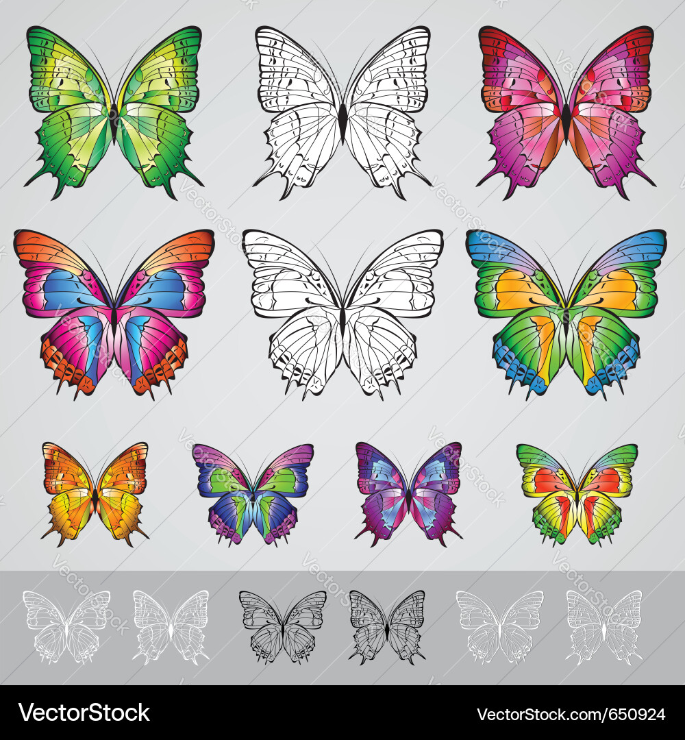 Colorful Butterfly Set vector image