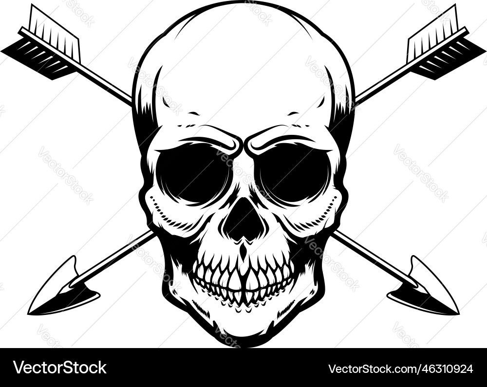 Skull with crossed arrows design element Skull with crossed arrows design element vector image