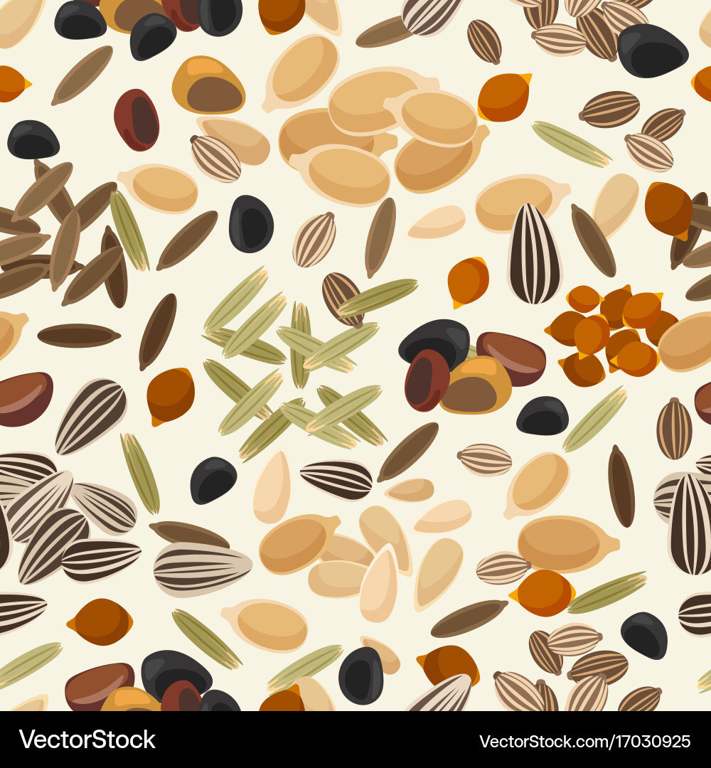 Different seeds colorful pattern vector image