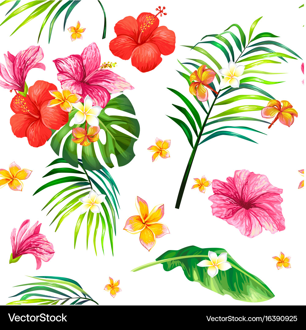 Tropical Hibiscus Pattern vector image