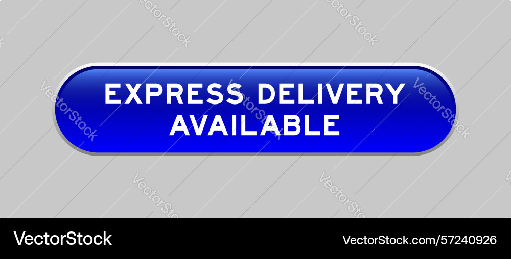 Blue color capsule shape button with word express vector image