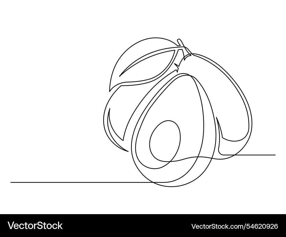 Continuous one line avocado with leaf Vector Image