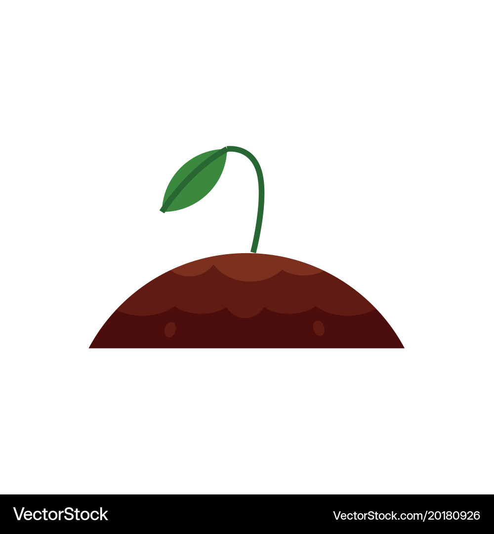 Flat sprouting seedling sapling icon vector image