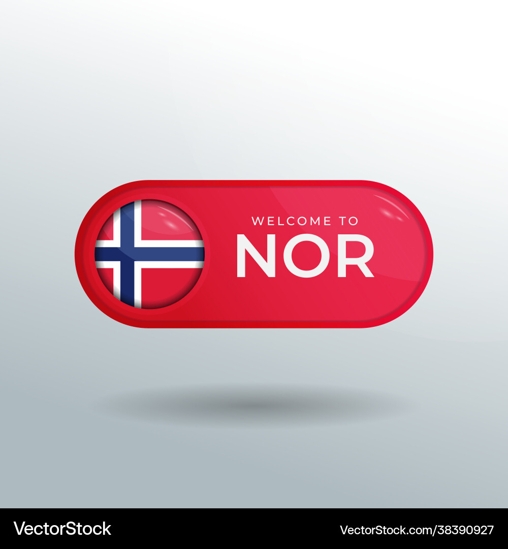3d label and location pointer flag nation 3d label and location pointer flag nation vector image