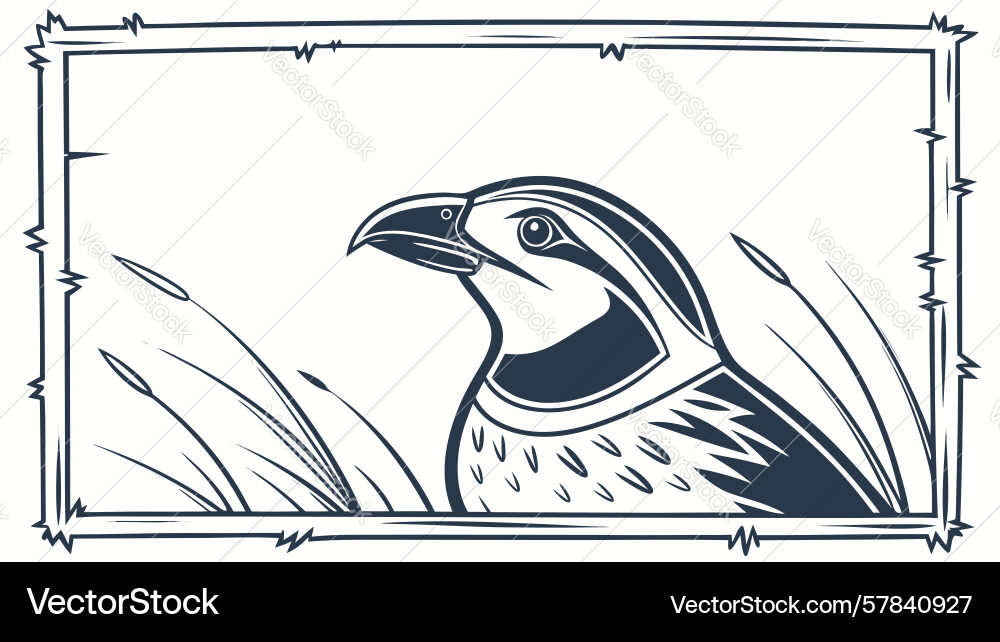 Quail bird in grass rectangular frame design Vector Image
