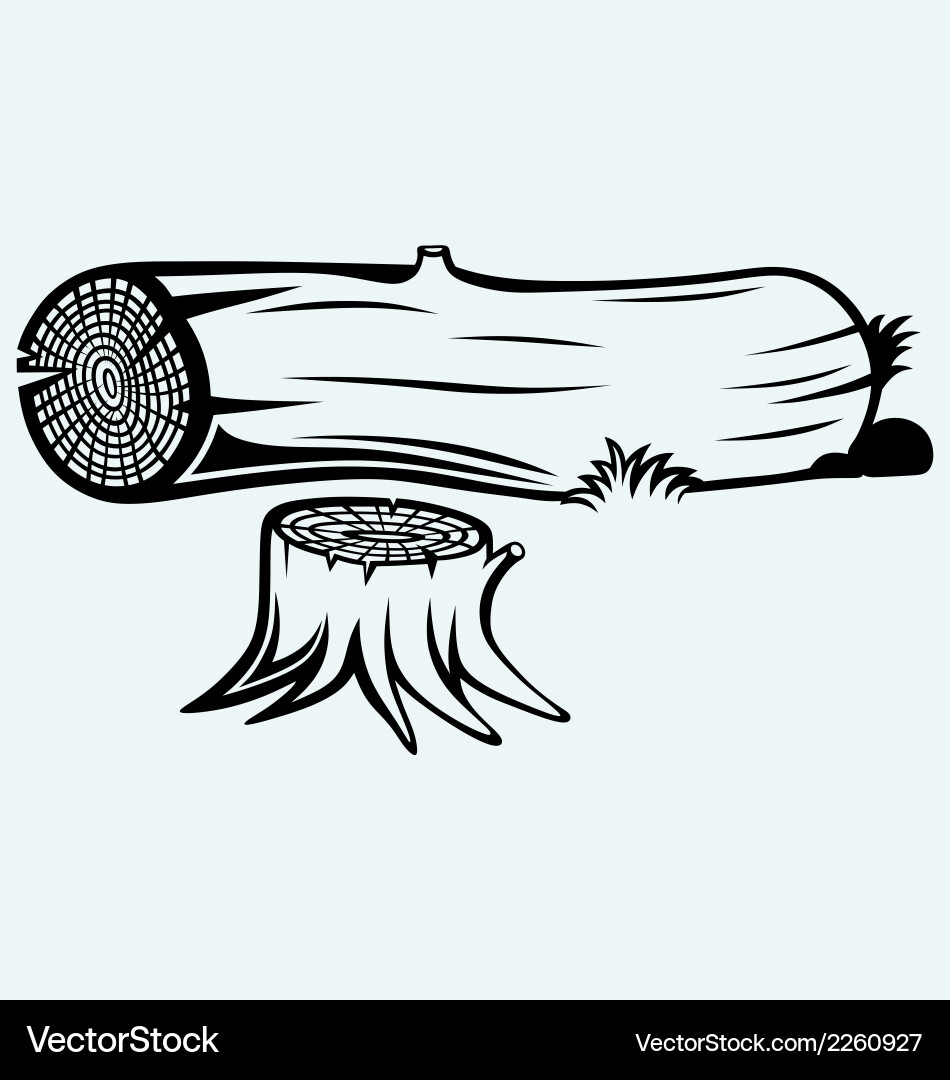 Tree Stump Cross-Section vector image