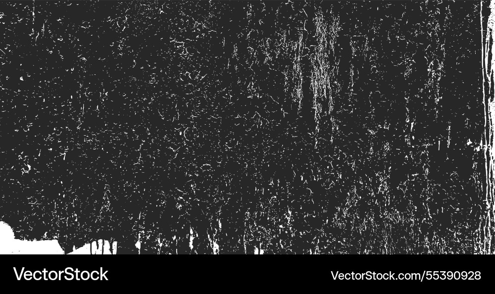 Black and white grunge Black and white grunge vector image