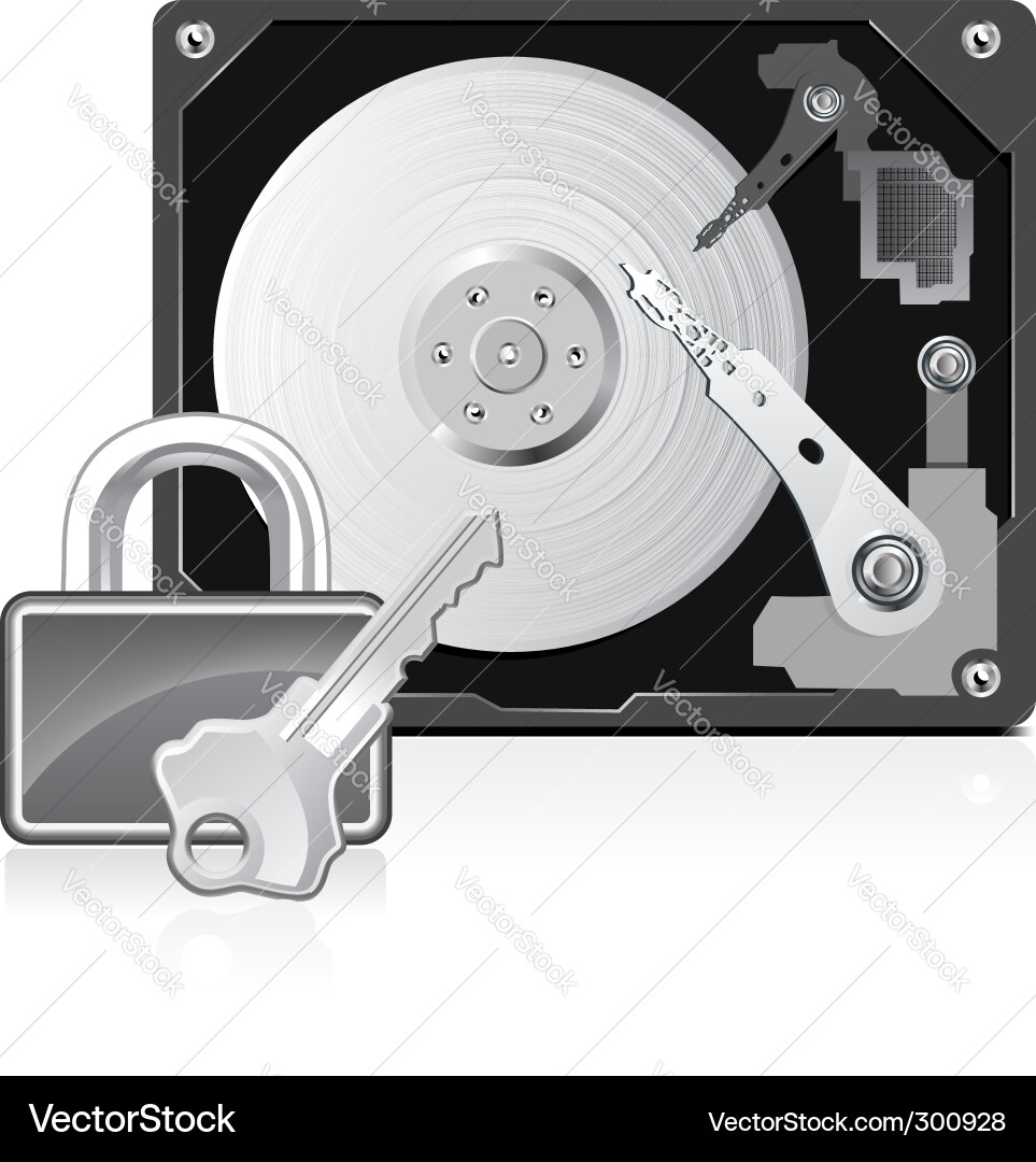 Computer Hard Drive Security Vector Image