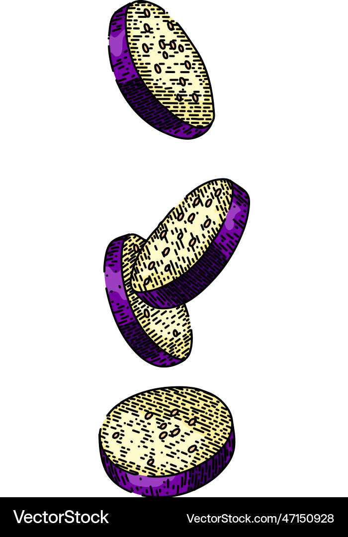 Eggplant cut slice aubergine sketch hand drawn Eggplant cut slice aubergine sketch hand drawn vector image