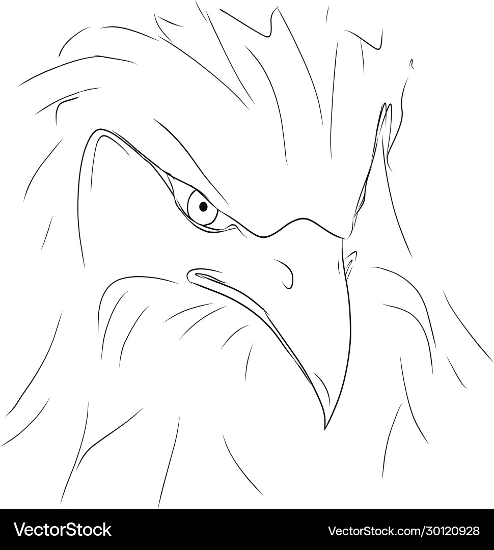 Sketch contour an eagle black lines Sketch contour an eagle black lines vector image