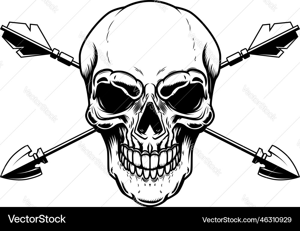 Skull with crossed arrows design element Skull with crossed arrows design element vector image