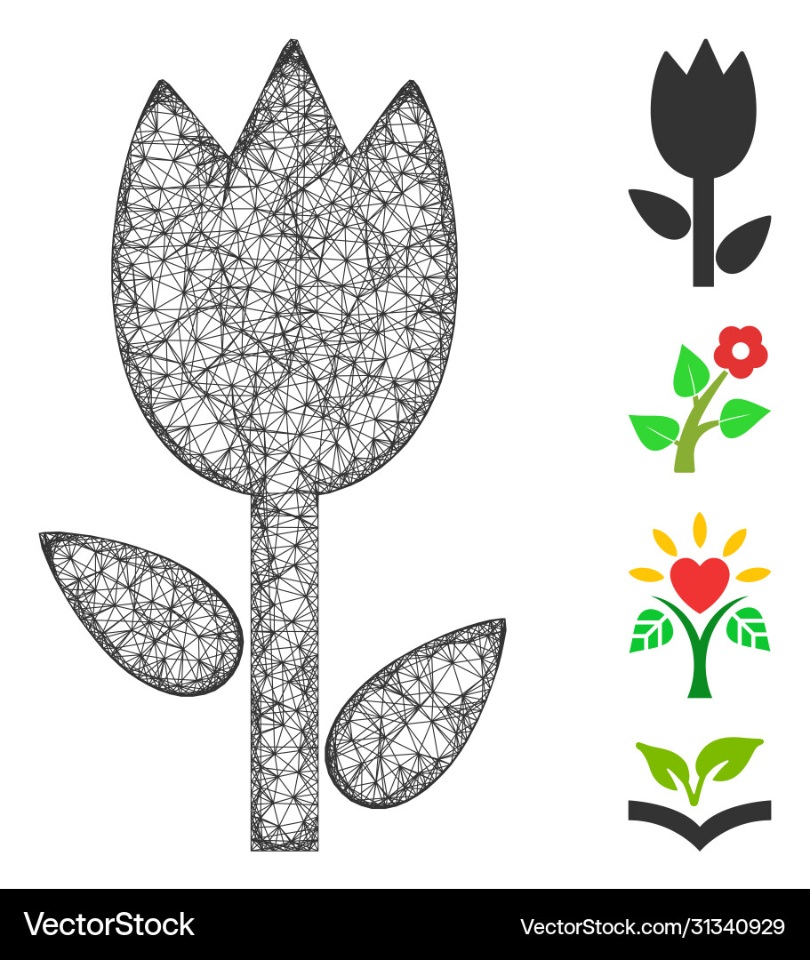 Tulip web mesh Tulip web mesh vector image