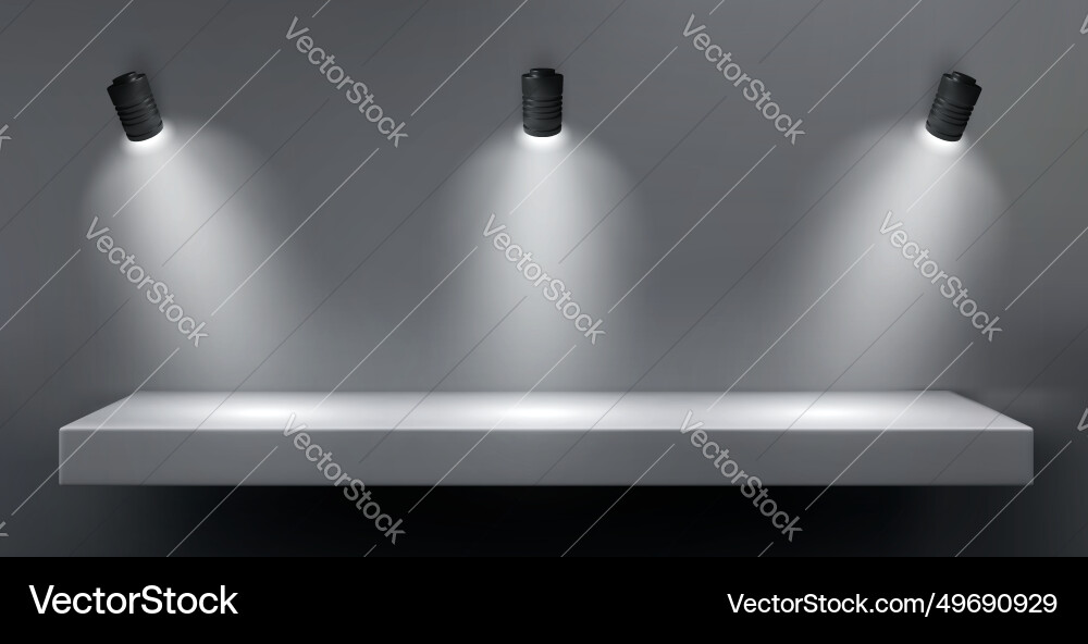 Wall with shelf and light lamp for product display Wall with shelf and light lamp for product display vector image