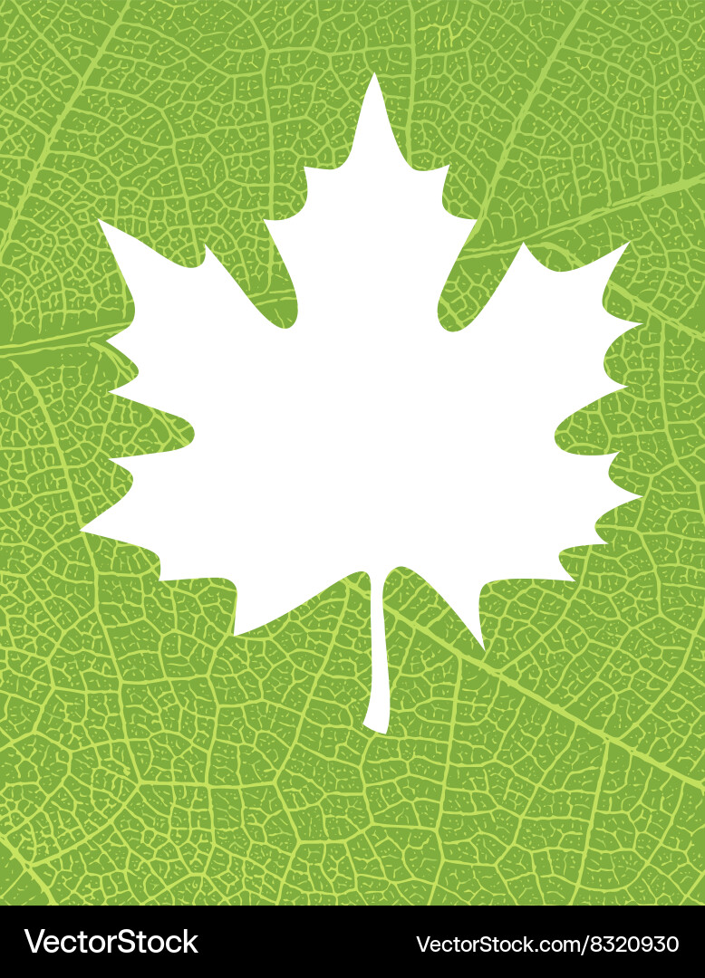 Nature background with free space for text vector image