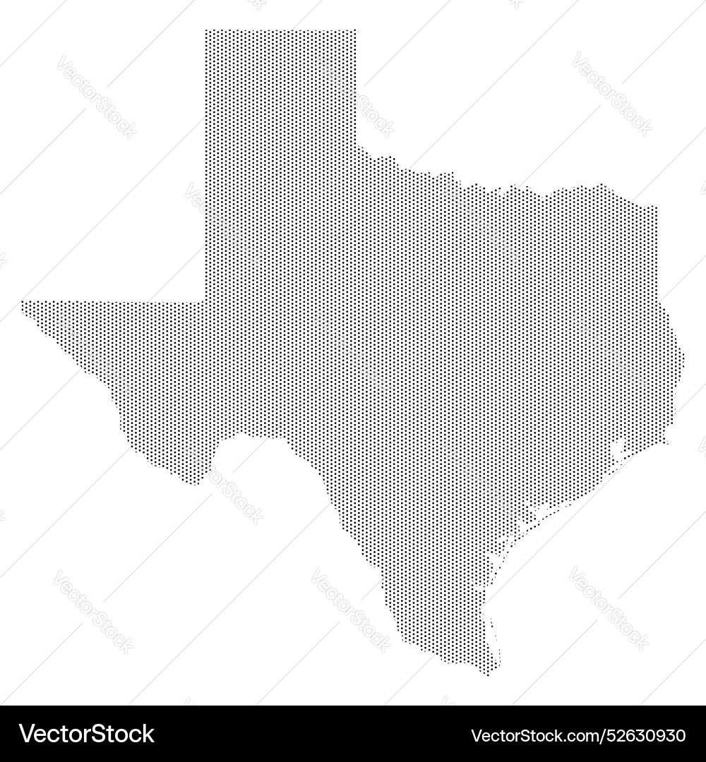Texas state map with dotted pattern vector image