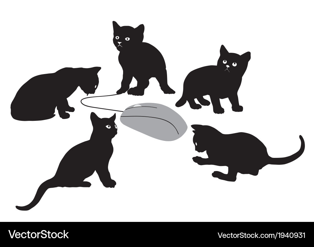 Kittens is hunting for computer mouse Vector Image