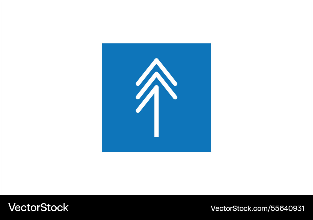 Pine tree custom logo design icon Pine tree custom logo design icon vector image