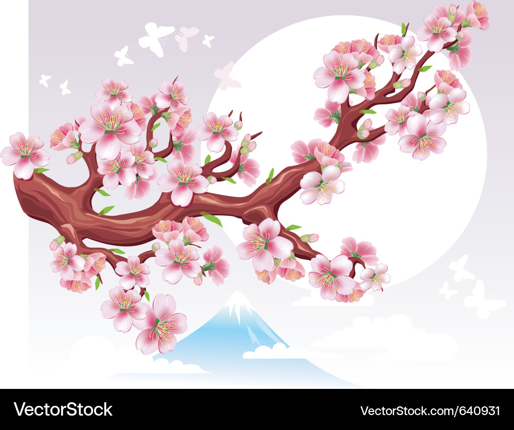 Sakura Branch in Sunlight Vector Image
