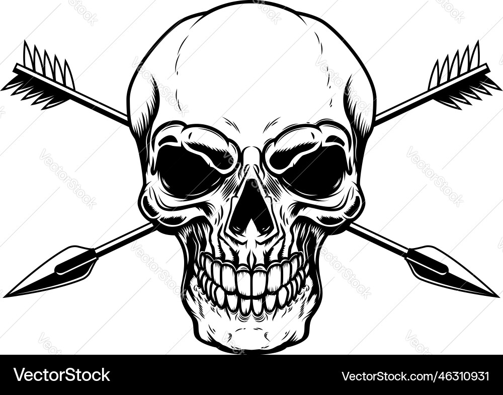 Skull with crossed arrows design element Skull with crossed arrows design element vector image