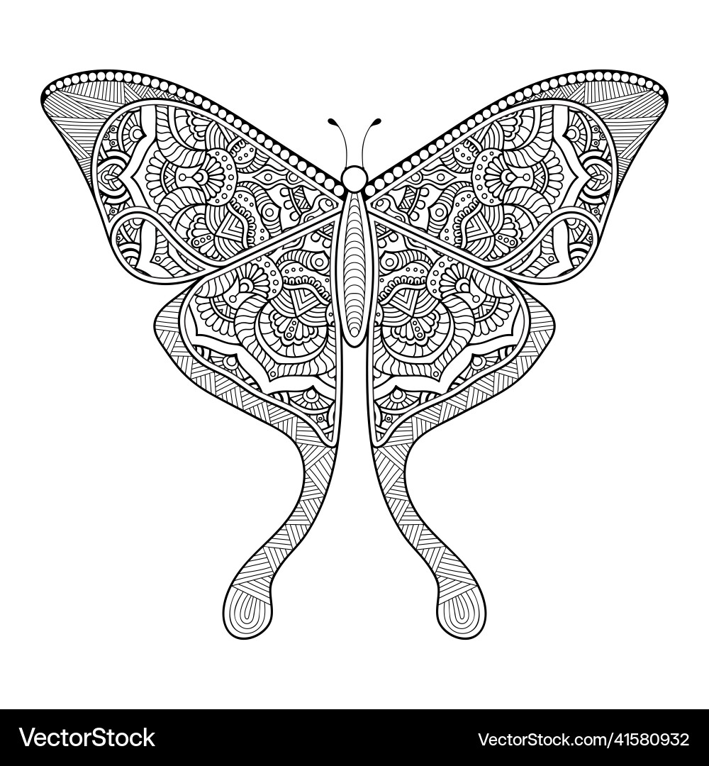 Butterfly black and white element line art Butterfly black and white element line art vector image