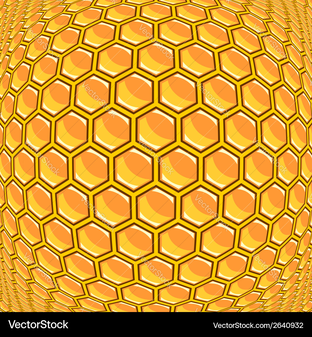 Design warped honeycomb pattern vector image