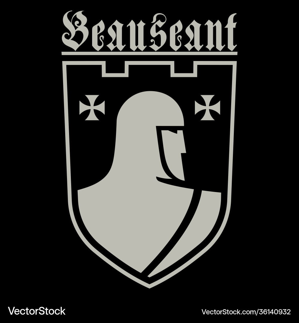 Knightly design knight templar and medieval Knightly design knight templar and medieval vector image