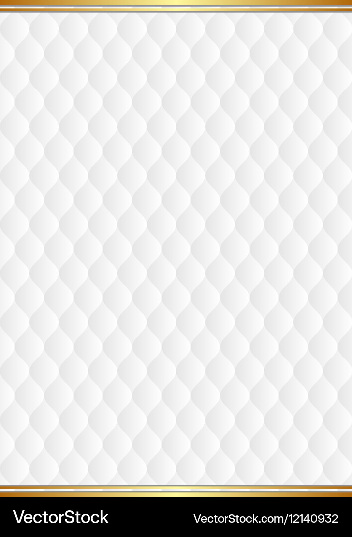 White background with decorative pattern Vector Image